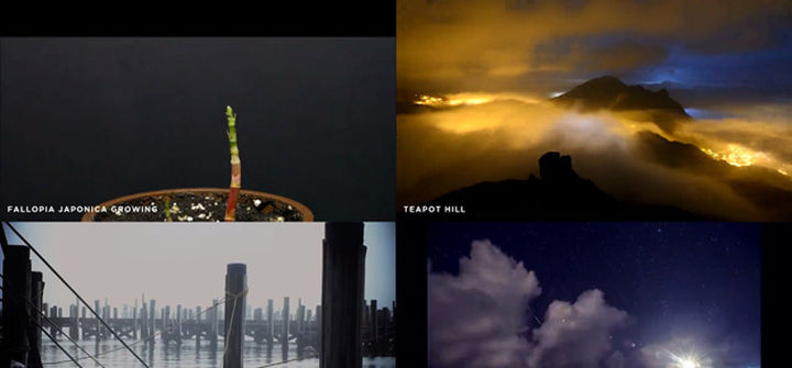 火山视频:香港澳门资料大全-哪个卫视在播白鹿原  第2张